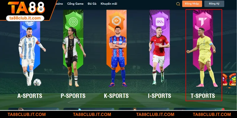 Sảnh sở hữu nhiều điểm mới lạ thu hút đông đảo hội viên 